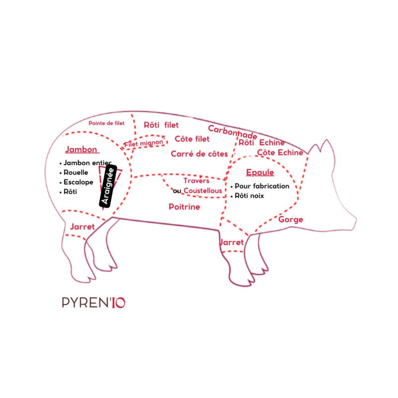 Araign e Griller De Porc Pyren io araign-e-griller-de-porc-pyren-io