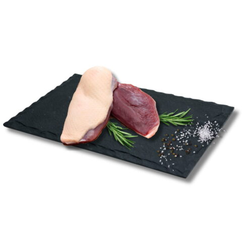 Magret de canard frais